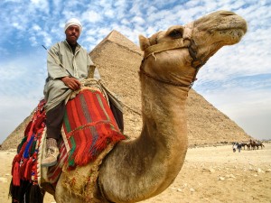 Cairo, Egypt - February 28, 2008: Portrait of a camel man on his camel in front of the Pyramid of Khafre on the Giza Plateau in Cairo, Egypt.