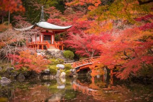 Daigoji temple in maple trees momiji season Kyoto Japan